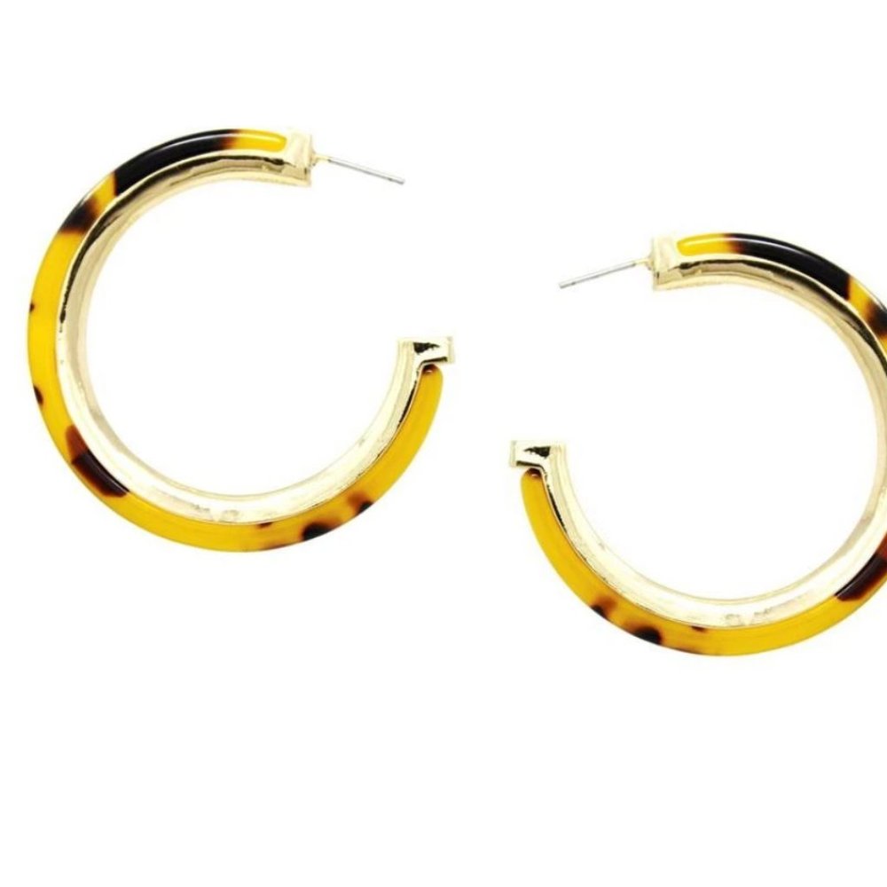 HP Tortoise Hoops